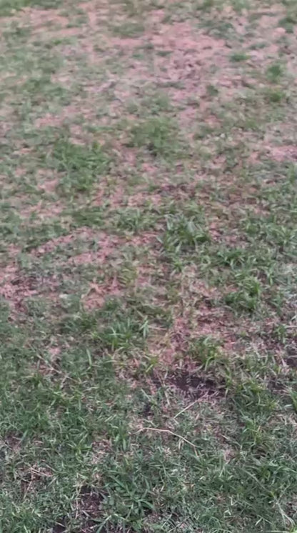 Billetera VAULTON® Carbono Silver