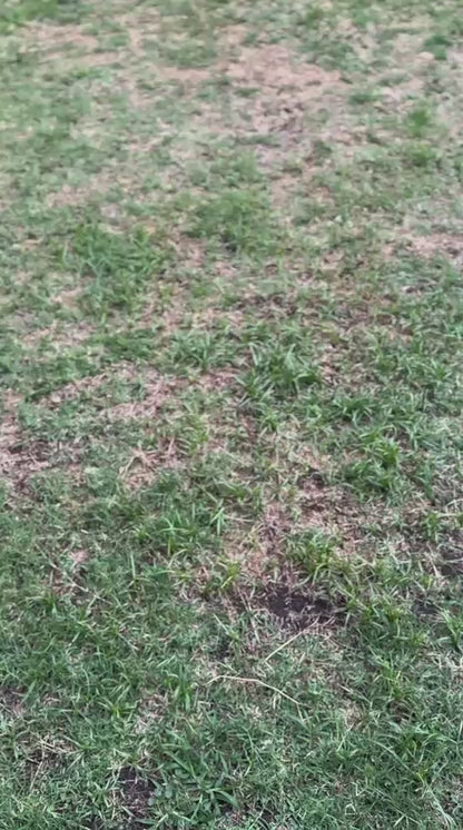 Billetera VAULTON® Silver