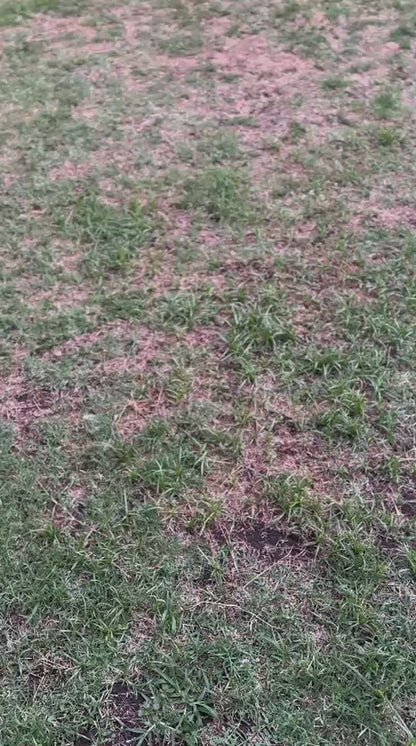 Billetera VAULTON® Gris Oscuro